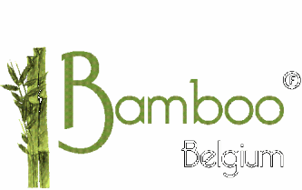 Bamboo Belgium